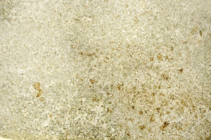 Plane Polarized, S87066