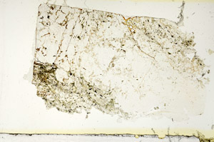Plane Polarized, S87068