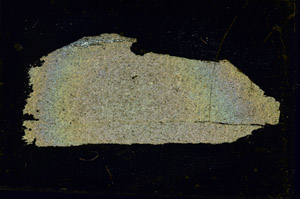Cross Polarized, S87144
