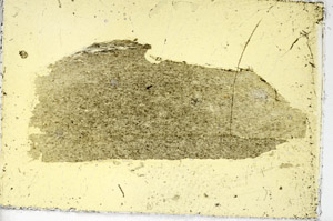Plane Polarized, S87144