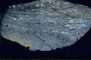 Cross Polarized, S87147