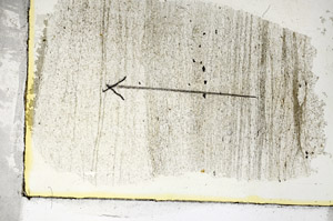 Plane Polarized, S87148