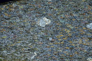 Cross Polarized, S87149