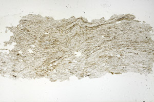Plane Polarized, S87153