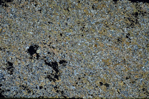 Cross Polarized, S87155
