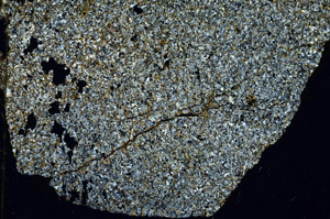 Cross Polarized, S87157