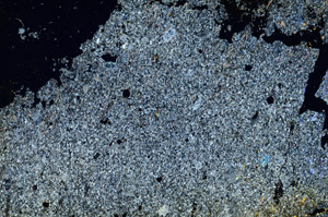 Cross Polarized, S87158