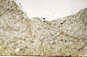 Plane Polarized, S87159