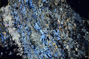Cross Polarized, S87162