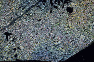 Cross Polarized, S87163