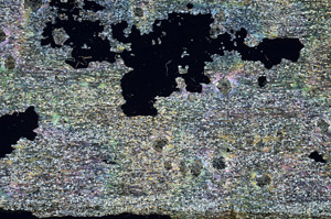 Cross Polarized, S87164