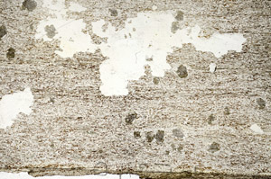 Plane Polarized, S87164