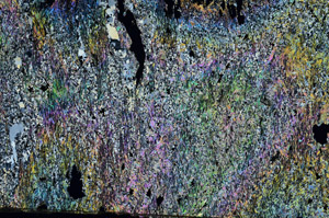 Cross Polarized, S87166