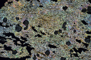 Cross Polarized, S87167
