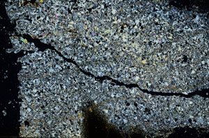 Cross Polarized, S87169
