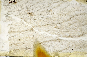 Plane Polarized, S87169