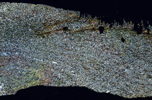 Cross Polarized, S87171