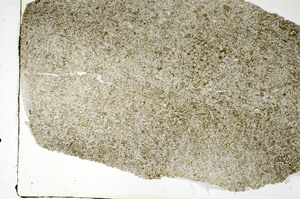 Plane Polarized, S87173
