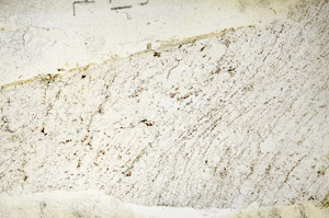 Plane Polarized, S87175