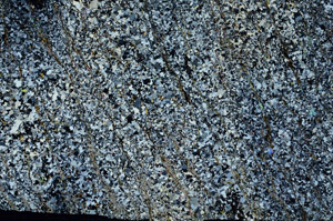 Cross Polarized, S87176