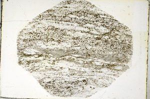 Plane Polarized, S87184