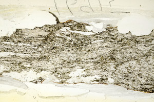 Plane Polarized, S87187