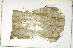 Plane Polarized, S87192/A