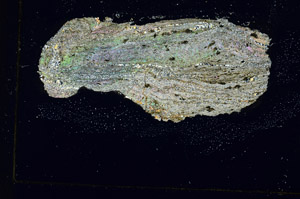 Cross Polarized, S87193