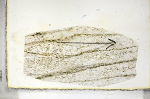 Plane Polarized, S87194