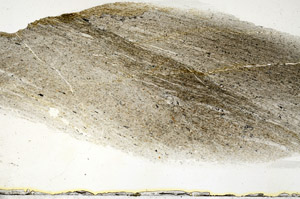 Plane Polarized, S87197