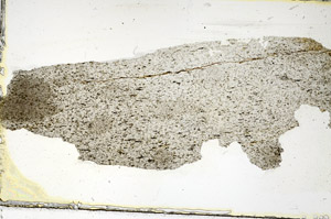 Plane Polarized, S87199