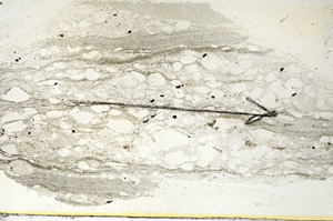 Plane Polarized, S87202
