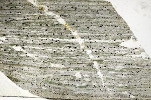 Plane Polarized, S87203