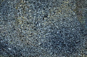 Cross Polarized, S87211
