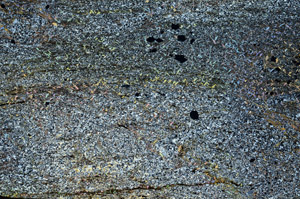 Cross Polarized, S87214