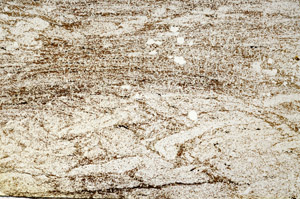 Plane Polarized, S87214