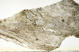 Plane Polarized, S87216