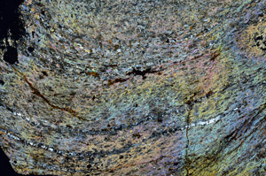 Cross Polarized, S87217