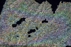 Cross Polarized, S87219