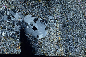 Cross Polarized, S87232