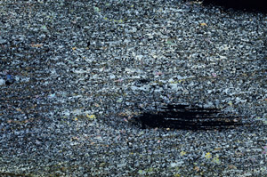 Cross Polarized, S87233