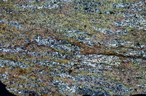 Cross Polarized, S87234