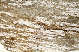 Plane Polarized, S87234