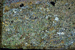 Cross Polarized, S87240