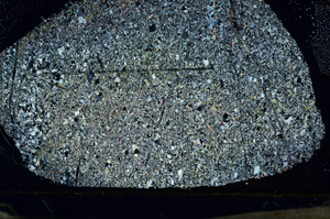 Cross Polarized, S87242