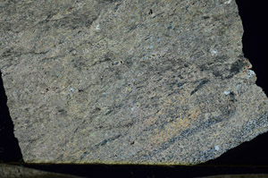 Cross Polarized, S87247