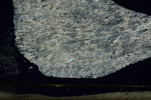 Cross Polarized, S87247/A