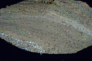 Cross Polarized, S87248