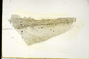 Plane Polarized, S87249