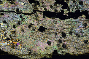 Cross Polarized, S87253